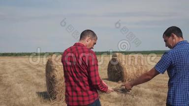团队农业智慧农业理念.. 两个男的农民工人在数字上的田野上走在干草堆上